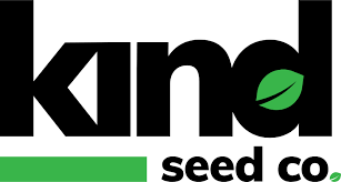 Exploring the Benefits of Blue Dream Autoflower Exploring the Benefits of Blue Dream Autoflower