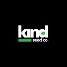 Exploring the Benefits of Blue Dream Autoflower Exploring the Benefits of Blue Dream Autoflower